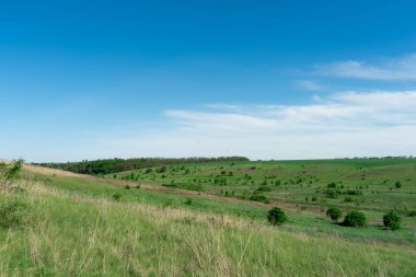 Ukrayna 'daki arazi ve yamaçlar