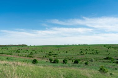 Ukrayna 'daki arazi ve yamaçlar