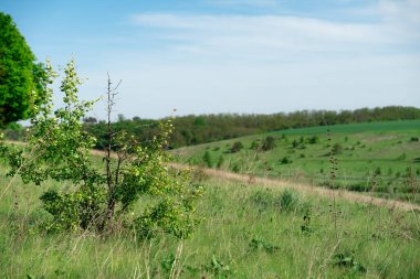Ukrayna 'daki arazi ve yamaçlar