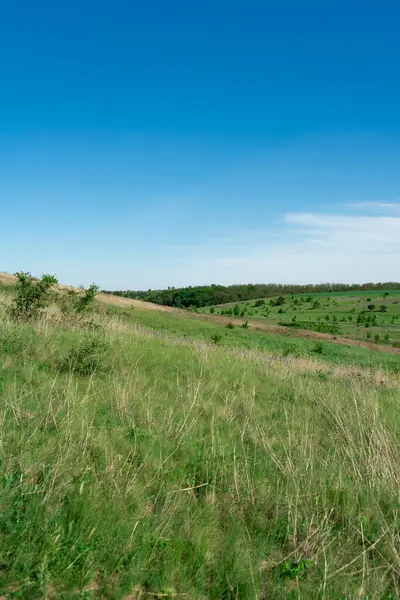 Ukrayna 'daki arazi ve yamaçlar