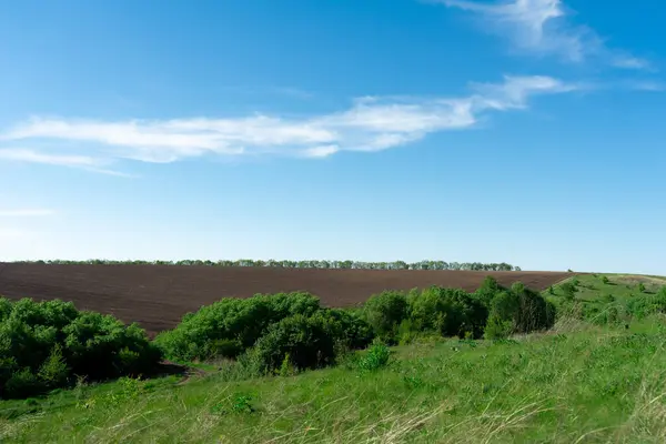 Ukrayna 'daki arazi ve yamaçlar