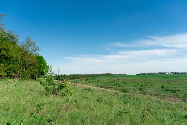 Ukrayna 'daki arazi ve yamaçlar