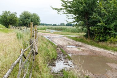 Köydeki bozuk toprak yolda yağmurdan sonra çamurlu su birikintileri var.