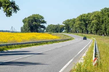 Güneşli bir yaz gününde kırsalda asfalt yol. Güneşli bir bahar gününde bir otoyol ve çiçek açan bir tarla. Asfalttaki arabalar için metal çitli bir yol.