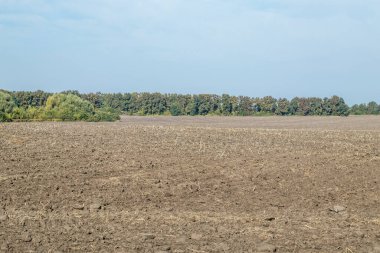 Tarlaya sürülmüş tarlalar, traktör izleri, toprak dokusuna yakın çekim. Kırsal alan. Tarım ve gıda endüstrisi, çevre koruma konusu. Mavi gökyüzü ve ufukta ağaçlar olan manzara