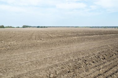 Tarlaya sürülmüş tarlalar, traktör izleri, toprak dokusuna yakın çekim. Kırsal alan. Tarım ve gıda endüstrisi, çevre koruma konusu. Mavi gökyüzü ve ufukta ağaçlar olan manzara