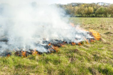 Kırsaldaki bir çayırda kuru otlar yanıyor. Vahşi bir ateş bir tarlada kuru otları yakar. Turuncu alevler ve duman bulutları. Ateş açın. Doğa yanıyor. Tehlike ve felaket