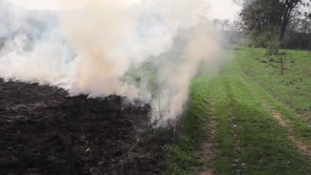 在田里烧干草 战场上的火 环境灾难 气候变化 环境污染 — 图库视频影像