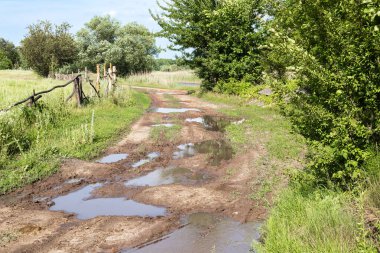 Bir sürü çamurlu su birikintisi olan kırsal toprak yol. Yağmurdan sonra su birikintileriyle yıkılmış toprak yol