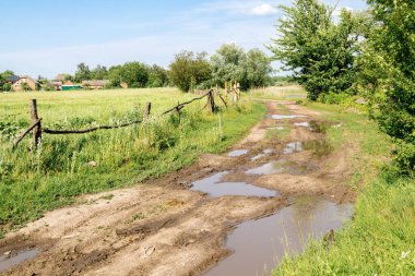 Bir sürü çamurlu su birikintisi olan kırsal toprak yol. Yağmurdan sonra su birikintileriyle yıkılmış toprak yol