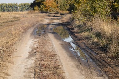 Tarlada su birikintileri olan kırsal toprak yol.