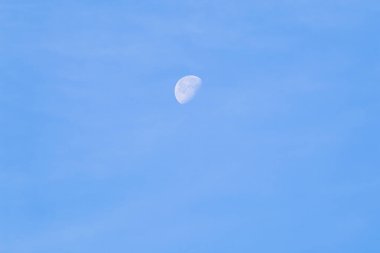 A beautiful crescent moon in daylight against a clear blue sky. clipart