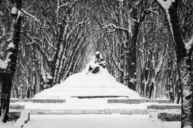 T. G. Shevchenko anıtı kışın, Ukrayna 'nın Sumy bölgesinde Romny şehrinde karla kaplı ağaçlar ve merdivenlerle çevrili..