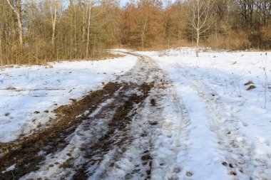 Ağaçları ve dalları olan karlı bir çayırda çamurlu bir patika. Karayolu ve doğal çevreyle kış manzarası.