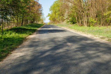 Açık mavi gökyüzünün altında yeşil ağaçlar ve çimlerle çevrili boş asfalt yol. Doğa fotoğrafçılığı. Doğa ve seyahat kavramı.