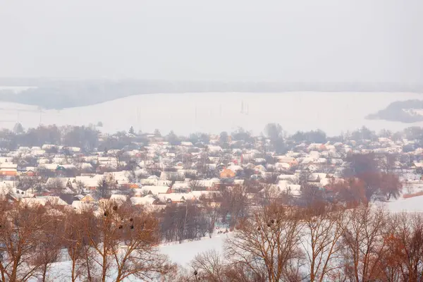 Kış manzarasının arka planında evleri ve ağaçları olan karlı bir köy. Köyün kuş bakışı görüntüsü. Kış mevsimi ve kırsal yaşam kavramı.