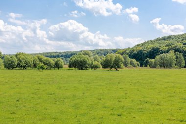 Dağınık ağaçlarla dolu geniş yeşil bir çayır. Arka planda yoğun bir orman var. Parlak mavi gökyüzünün altında bulutlar var..