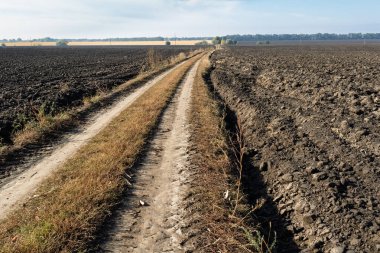 Geniş tarlalar boyunca uzanan kırsal toprak bir yol, zengin, karanlık toprak ve açık gökyüzünün altındaki açık arazilerle çevrili..