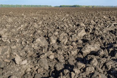 Taze tarla. Kapatın. Tarım alanındaki toprak yapısı