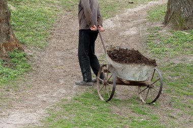Günlük giysiler içindeki bir adam, paslı, antika bir el arabasını kırsal alanda toprak bir patika boyunca gübre dolu bir şekilde çeker..