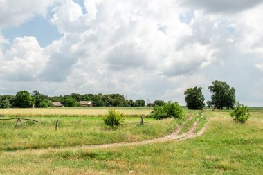 Dolambaçlı toprak bir yol, dağınık ağaçlar, ahşap çitler ve bulutlu bir gökyüzünün altındaki uzak kırsal evlerin bulunduğu yemyeşil bir kırsal bölgeden geçer..