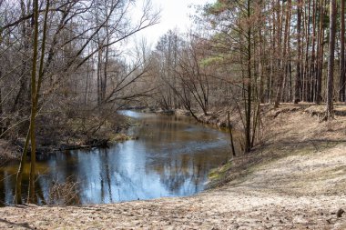 Sakin bir nehir, açık bir gökyüzünün altında çıplak ağaçlar ve kumlu kıyılarla ilkbaharın başlarında ormanlık bir arazide kıvrılır..
