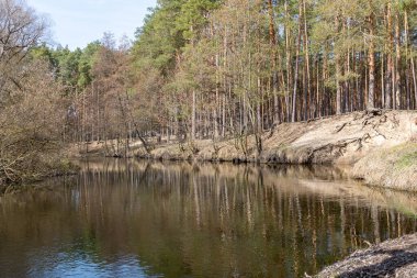 Sakin bir nehir, açık bir gökyüzünün altında çıplak ağaçlar ve kumlu kıyılarla ilkbaharın başlarında ormanlık bir arazide kıvrılır..