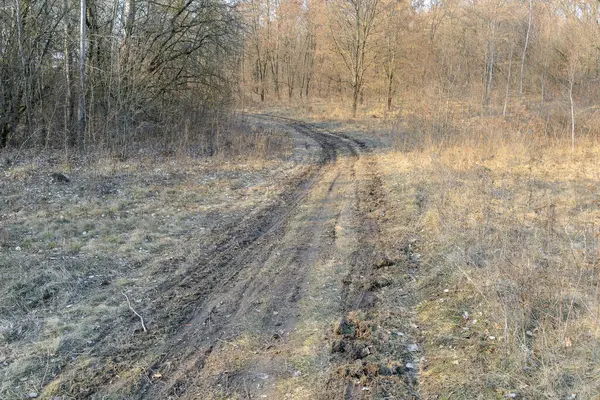 Engebeli, çamurlu toprak bir yol ender bir sonbahar ormanı boyunca kıvrılır. Düşen yapraklar ve çıplak ağaçlar kırsal bir manzara yaratır..
