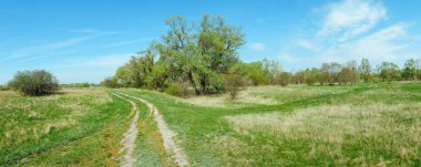 Dolambaçlı toprak yolu, yemyeşil otları ve parlak mavi gökyüzünün altında çiçek açan ağaçları olan manzaralı bir bahar çayırı..
