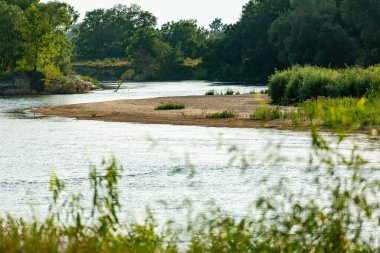 Bereketli ağaçlar ve sakin akan sularla çevrili, kumlu bir ada içeren sakin bir nehir manzarası..
