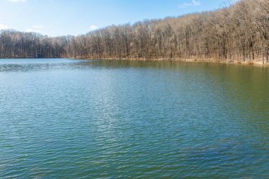 Yumuşak dalgalı huzurlu bir göl, ilkbaharın başlarında yapraksız ağaçlardan oluşan sık bir ormanla çevrili berrak mavi gökyüzünü yansıtır..