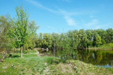Bereketli yeşil ağaçlar, sakin su yansımaları ve güneşli bir günde açık mavi gökyüzü içeren sakin bir nehir kenarı sahnesi..