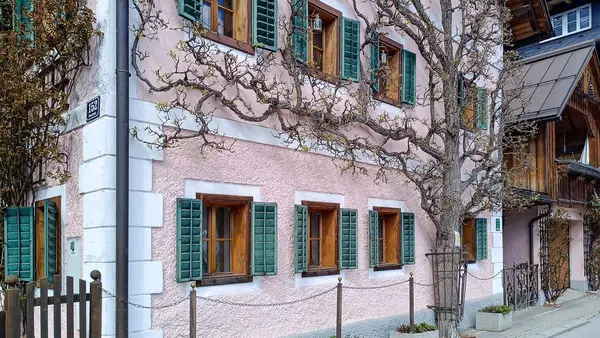 Hallstatt 'taki geleneksel Avusturya evi. Pastel pembe duvarları, yeşil kepenkleri ve ilkbaharın başında ön cephesine tırmanan çıplak bir ağaç.