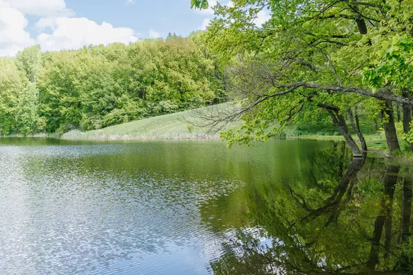 Bereketli bahar yaprakları ve mavi gökyüzü ile çevrili, üzerinde yeşil ağaçların asılı olduğu sakin bir orman gölü..
