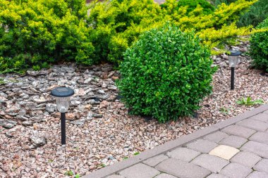 Yuvarlak yeşil çalı, saman, çakıl ve güneş enerjisiyle çalışan yol ışıklarıyla döşenmiş bahçe..