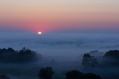 Sis kaplı bir ormanın üzerinde sakin bir gün doğumu, yumuşak pastel gökyüzü tonlarıyla ve siluetli ağaçlarla barışçıl bir ortam yaratıyor..