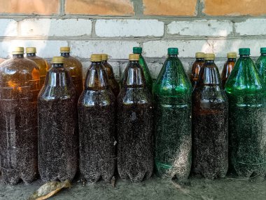 Koyu sıvıyla doldurulmuş birkaç plastik şişe açık havada tuğla bir duvara dayanıyor..