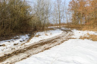 Çamurlu lastik izleriyle işaretlenmiş engebeli bir patika karlı bir ormanı geçiyor ağaçlarla ve kış manzarasıyla birlikte.