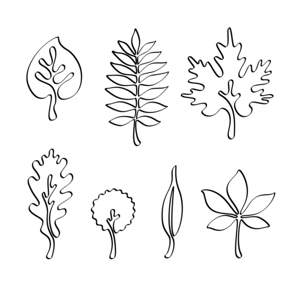 Desenho Folhas Desenhadas Mão — Vetor de Stock