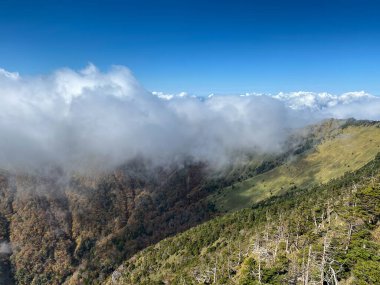 Dağların güzel manzarası