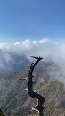 Doğanın güzel manzarası