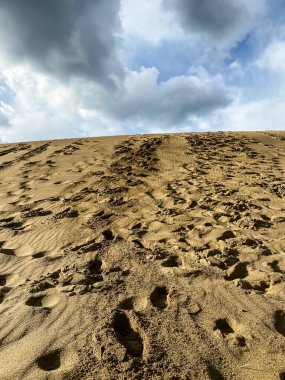 Çöldeki kum tepeleri. Tottori Japonya.