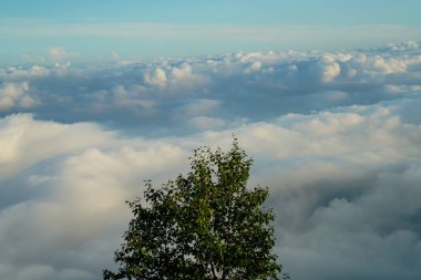 Beyaz bulutların havadan görünüşü. Yukarıdan bak. Dağın tepesinden manzara ve güzel bulutlar. Mt. Fuji Shizuoka Japonya