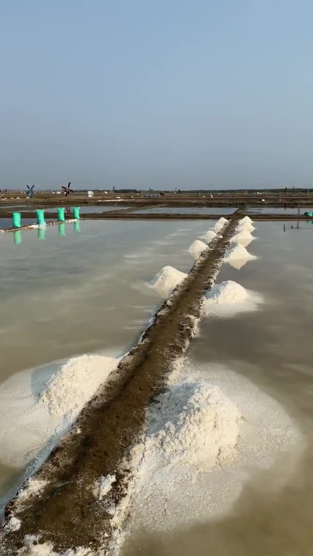 Mořská Sůl Pole Nebo Tradiční Farma Soli Cirebon Indonesia — Stock video