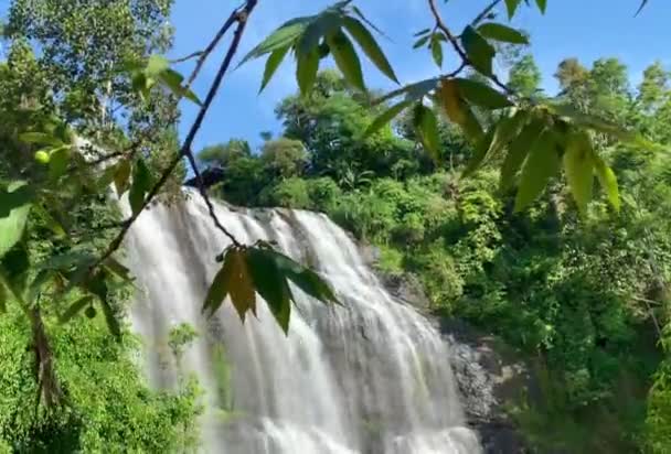 Hermosa Cascada Bosque Java Occidental Indonesia — Vídeos de Stock
