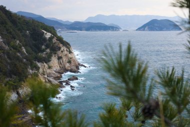 Büyük bir denizi ve büyük bir dalgası olan kayalık bir sahilin güzel bir görüntüsü. Kagawa, Japonya.