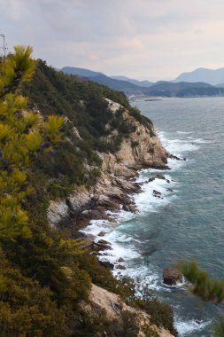 Büyük bir denizi ve büyük bir dalgası olan kayalık bir sahilin güzel bir görüntüsü. Kagawa, Japonya.