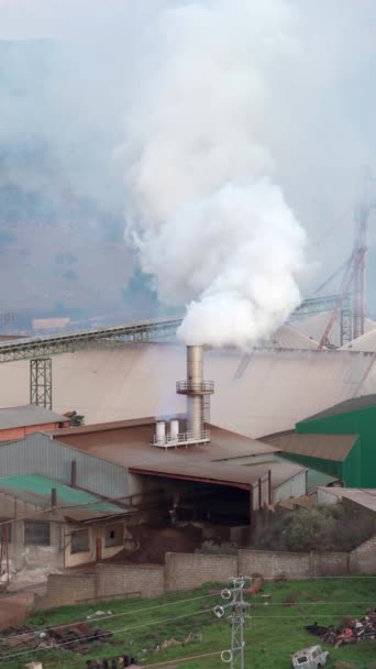 工場は煙突を通して汚染と煙を吐き出す 都市の環境問題 4K垂直ビデオ — ストック動画