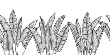 Duvar kağıtları, giysiler, arka planlar, tekstil, baskı, davetiyeler ve çeşitli modern tasarımlar için oyma tarzında tropikal muz palmiyeleri olan kusursuz vektör arkaplanı.