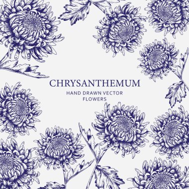 Zarif kasımpatı çiçek etiketi tasarımı. Hafif arka planda, karmaşık mavi el çizimi vektör çiçekleri var. Ürün ambalajlama, davetiyeler, markalaşma ve klasik dekoratif projeler için ideal.